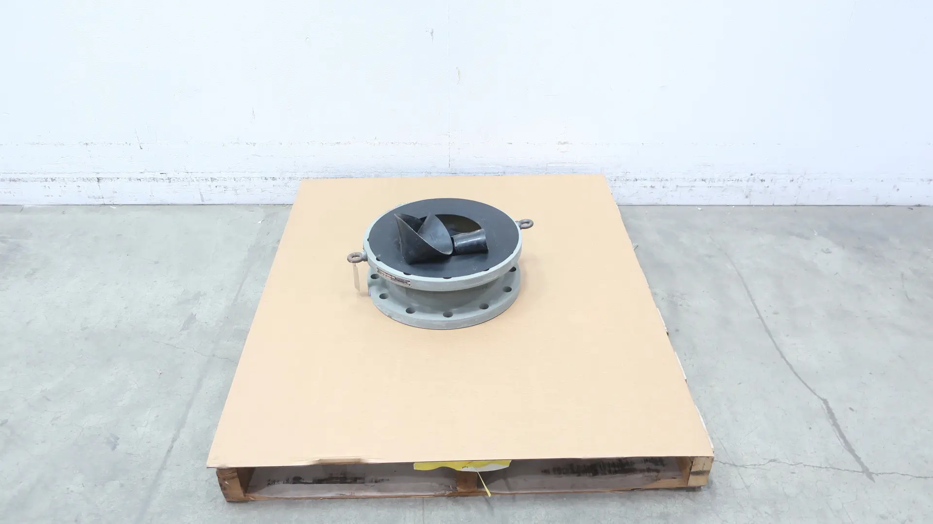 GOODWIN BFR