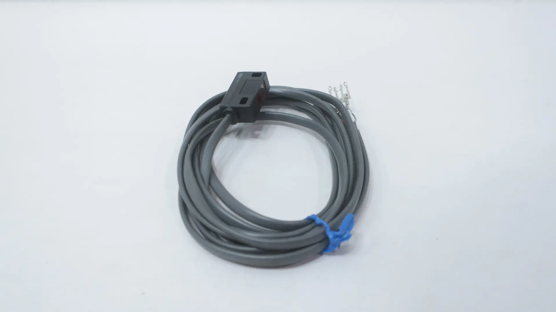 OMRON E3C-DS10