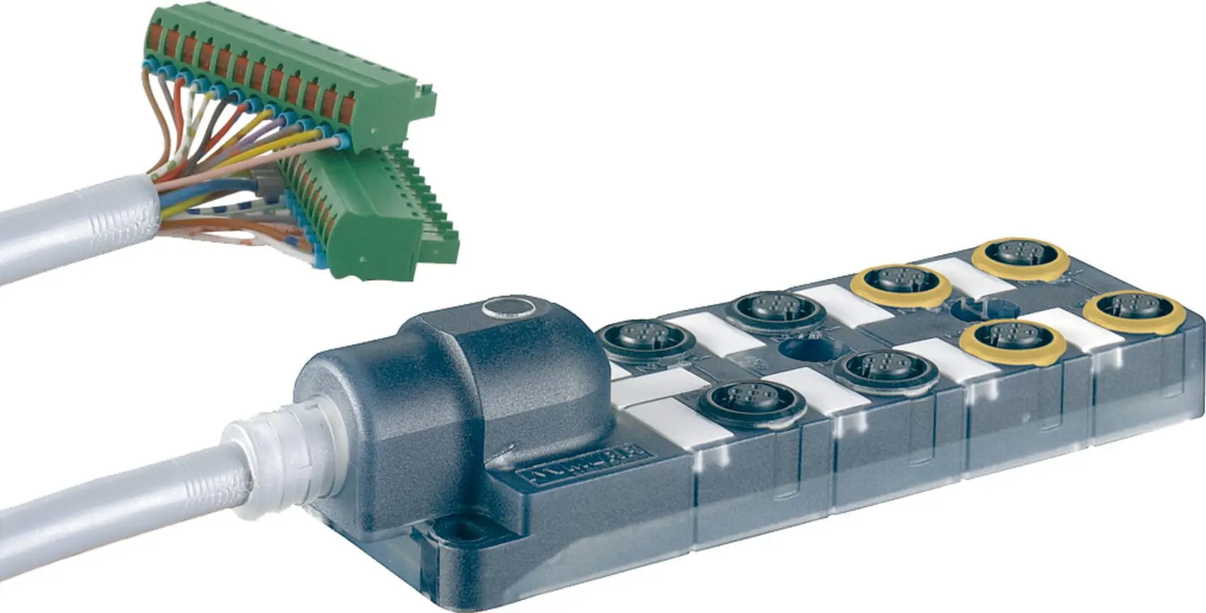 Produktfoto 1 von Exact12 Safety, Ltg. fest, P1-4: M12, 5-pol., LED P5-8: M12 3-pol. 1:1