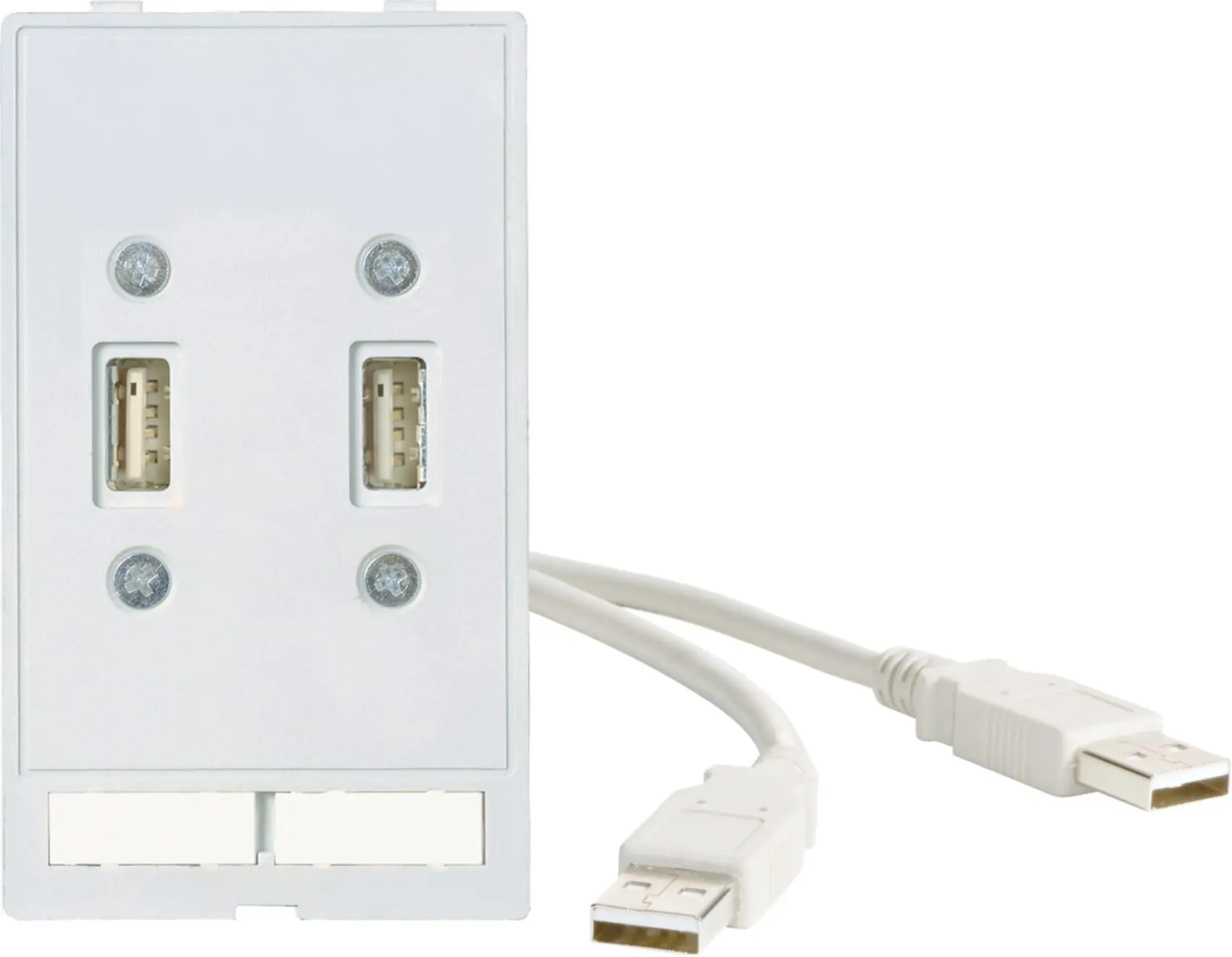 Produktfoto 1 von Modlink MSDD Frontplattenschnittstelle D atensteckverbindereinsatz 2x USB-A