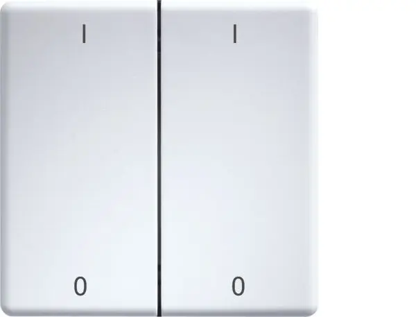 Produktfoto 1 von Doppelwippen lasergraviert Taster u.Schalter 55er Design /E-d.55 rws
