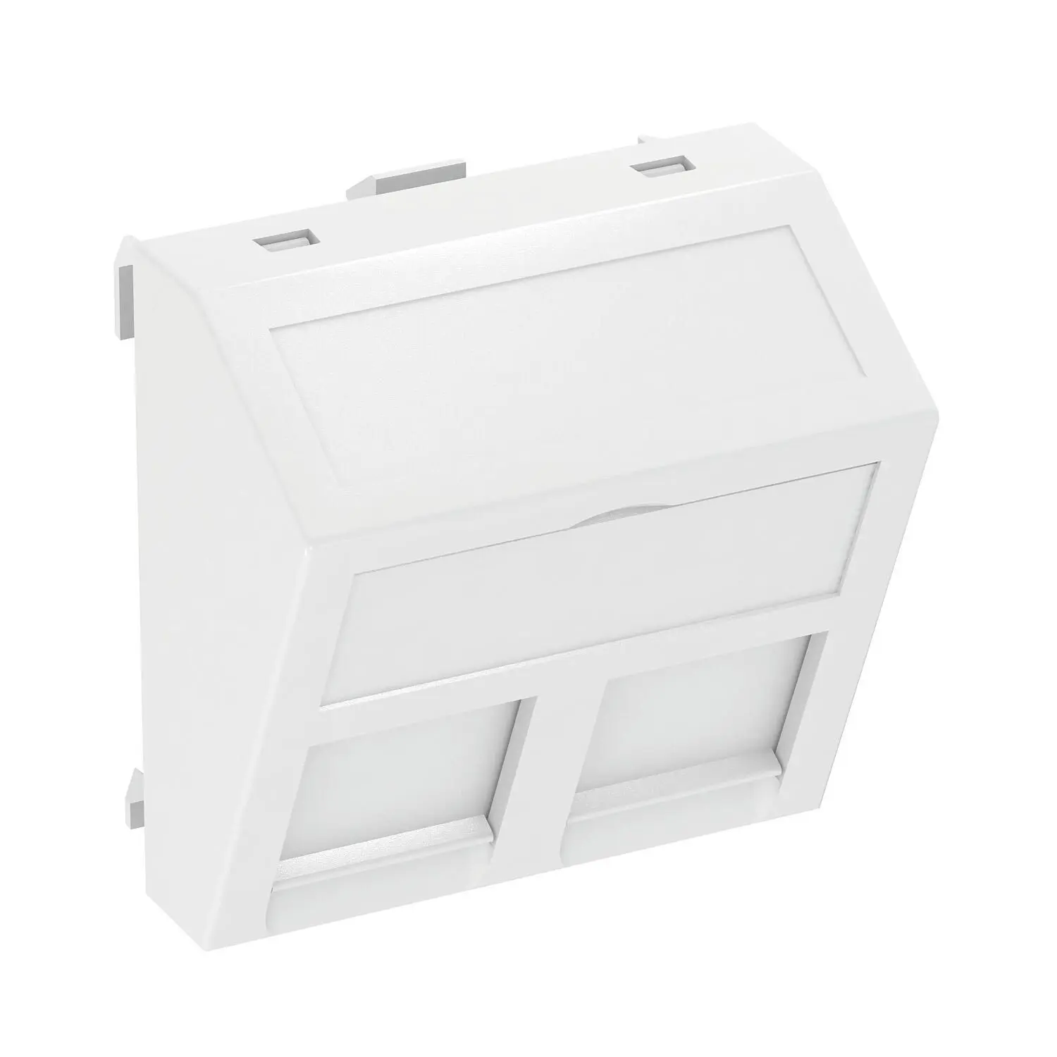Produktfoto 1 von Datentechnikträger für 2 Anschlussmodule Typ C 45x45mm, PC, reinweiß, RAL 9010