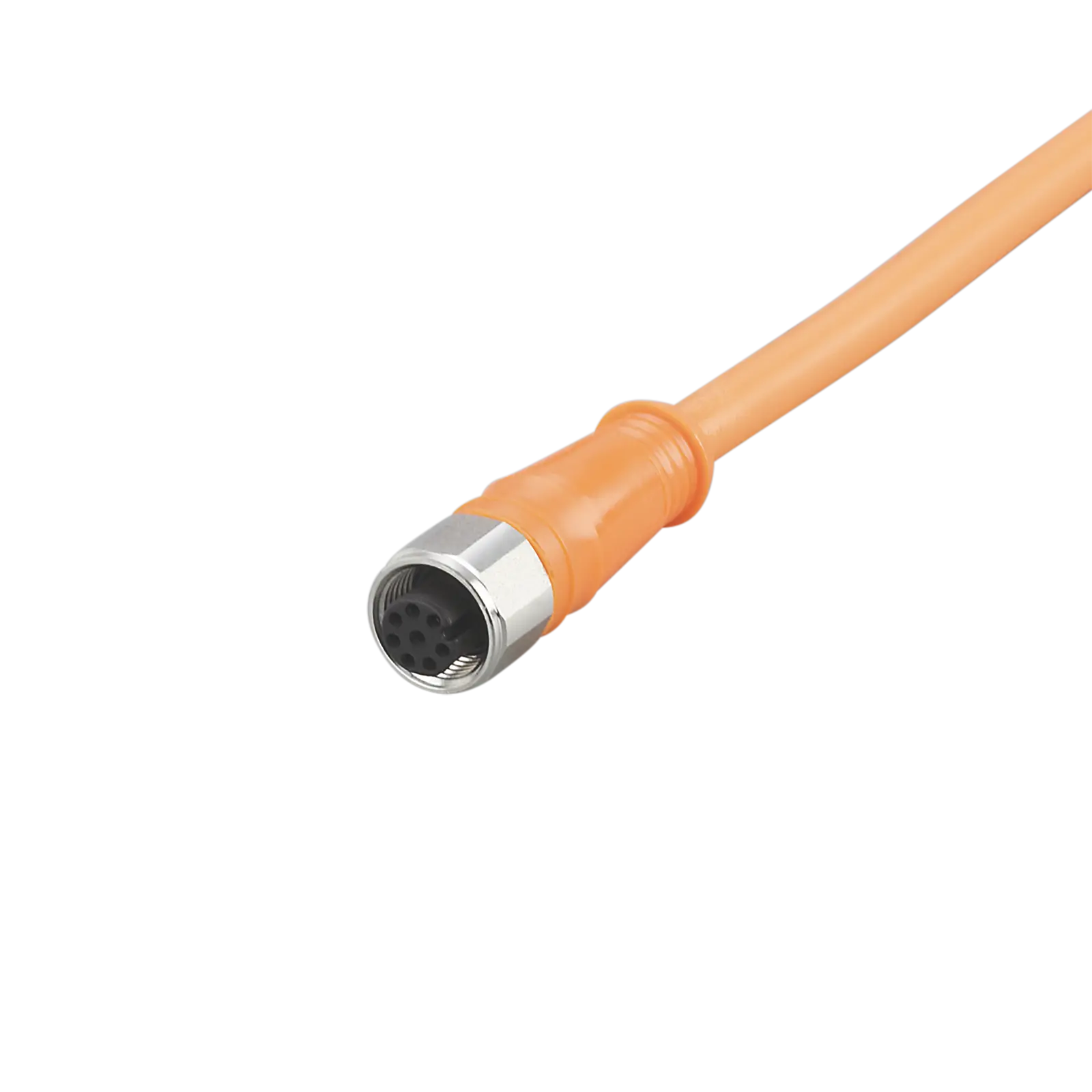 Produktfoto 1 von Anschlusskabel m.Buchse <30VAC 10m PVC Geh. PVC IP68/69K
