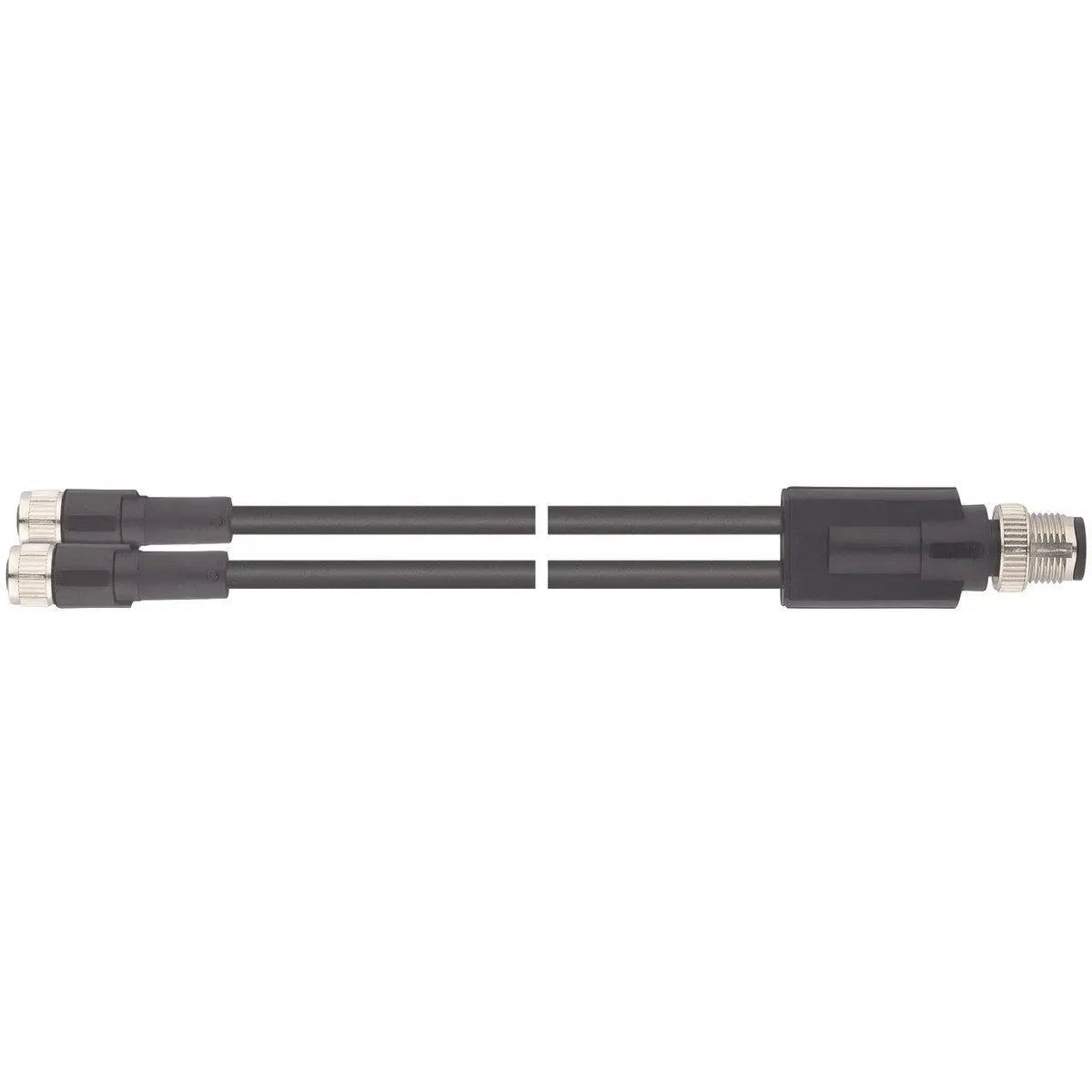 Produktfoto 1 von AB-C3-M12Y-0,6PUR-M8FS