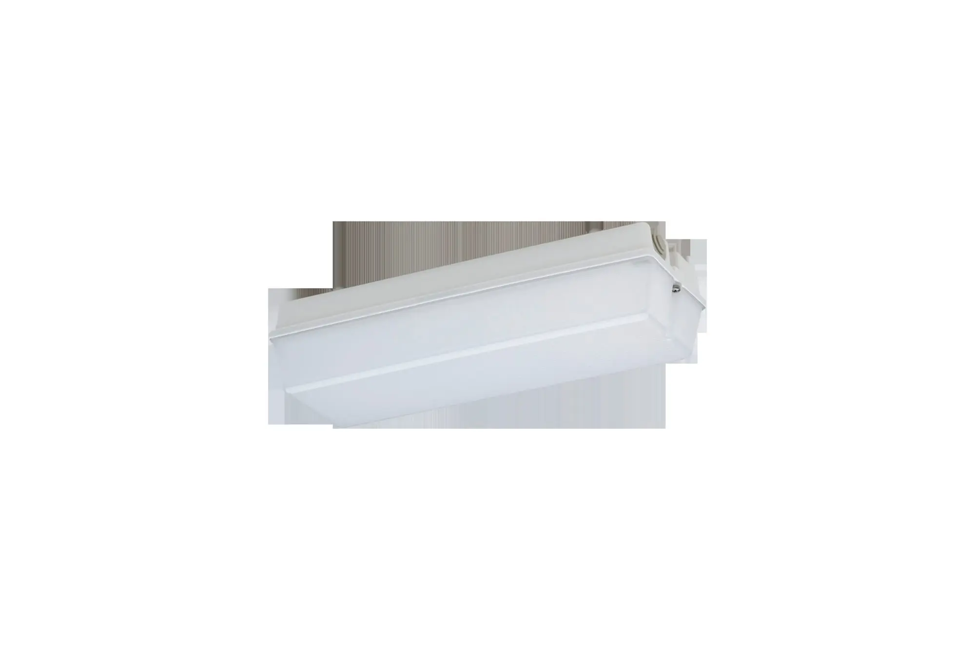 LED-Notleuchte 3 h 5W 310lm Brenndauer 3h IP65