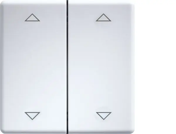 Produktfoto 1 von Doppelwippen lasergraviert Taster u.Schalter 55er Design /E-d.55 rws