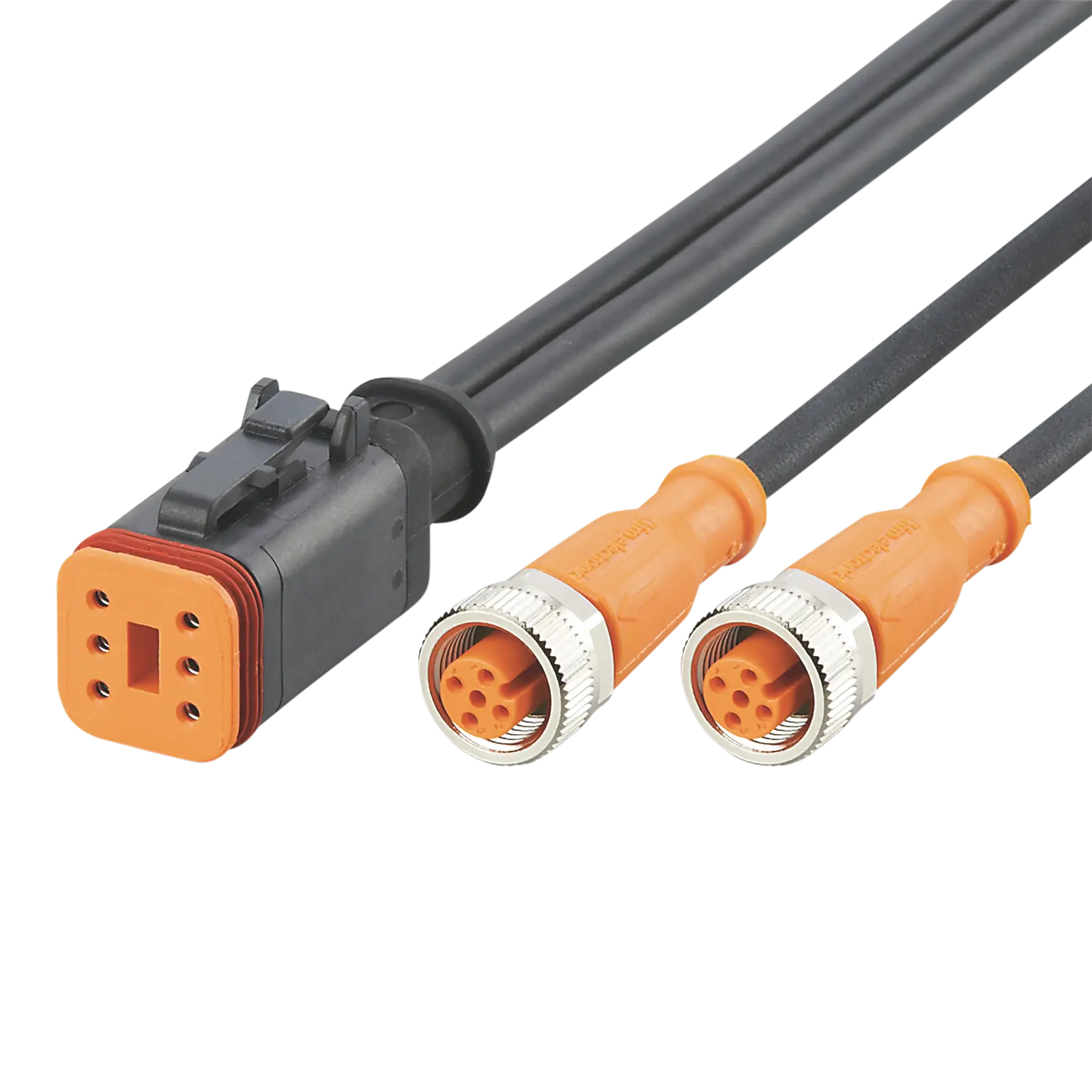 Y-Verbindungskabel 2 1m PUR Gehäuse PA Buchse:TPU orange FKM IP67