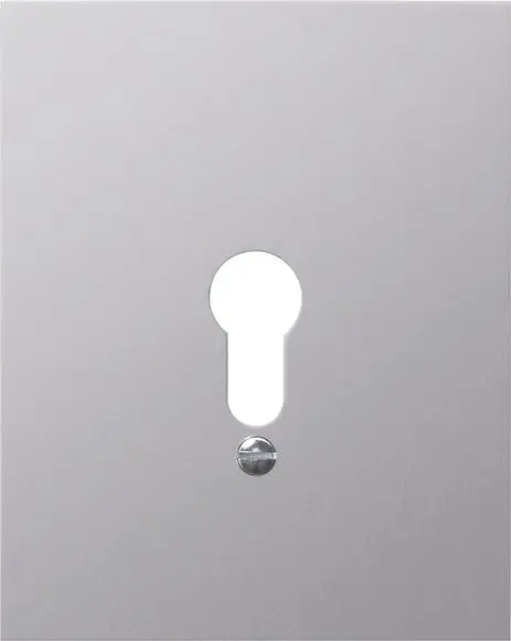Produktfoto 1 von Abdeckung o. Symbole WG AP Aluminium