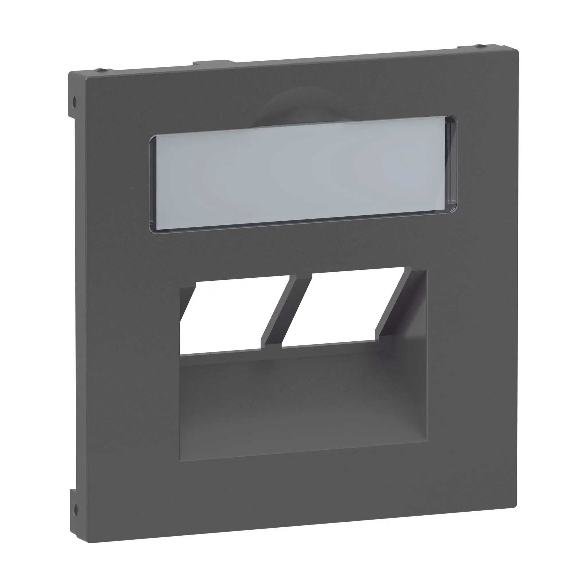 Produktfoto 1 von SEANO Abdeckung 2x RJ45 für Datendosen Fremdfabrikate, Anthrazit lackiert