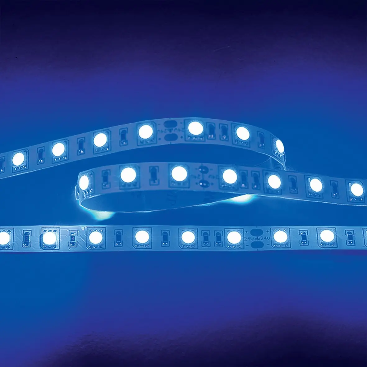 Produktfoto 1 von Flexible LED SMD 5050 2m blau 14,4W/m 24V IP20