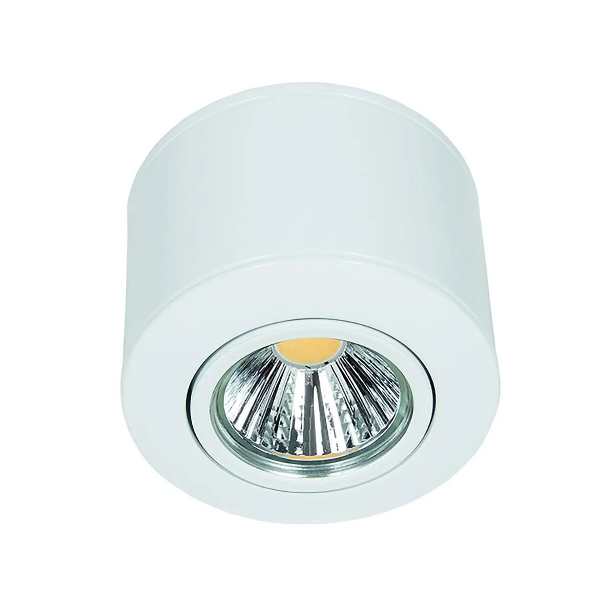 Produktfoto 1 von Downlight A 5068 Aufbau nickel-geb.9,5W 930 38° dim C