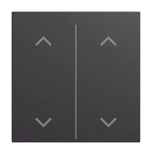 Produktfoto 1 von Abdeckung als Wippe 2-fach mit Symbol "Auf/Ab" Busch-balance® SI