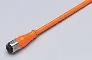 Produktfoto 1 von Anschlusskabel m.Buchse <30VAC 25m PVC Geh. PVC IP68/69K
