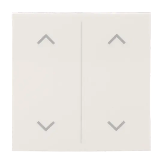 Produktfoto 1 von Abdeckung als Wippe 2-fach mit Symbol "Auf/Ab"