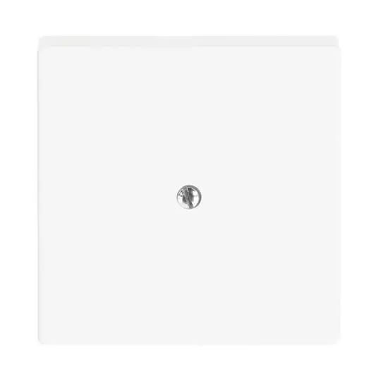 Produktfoto 1 von Abdeckung für Telefonverbinderdosen (VDo) UP studioweiß