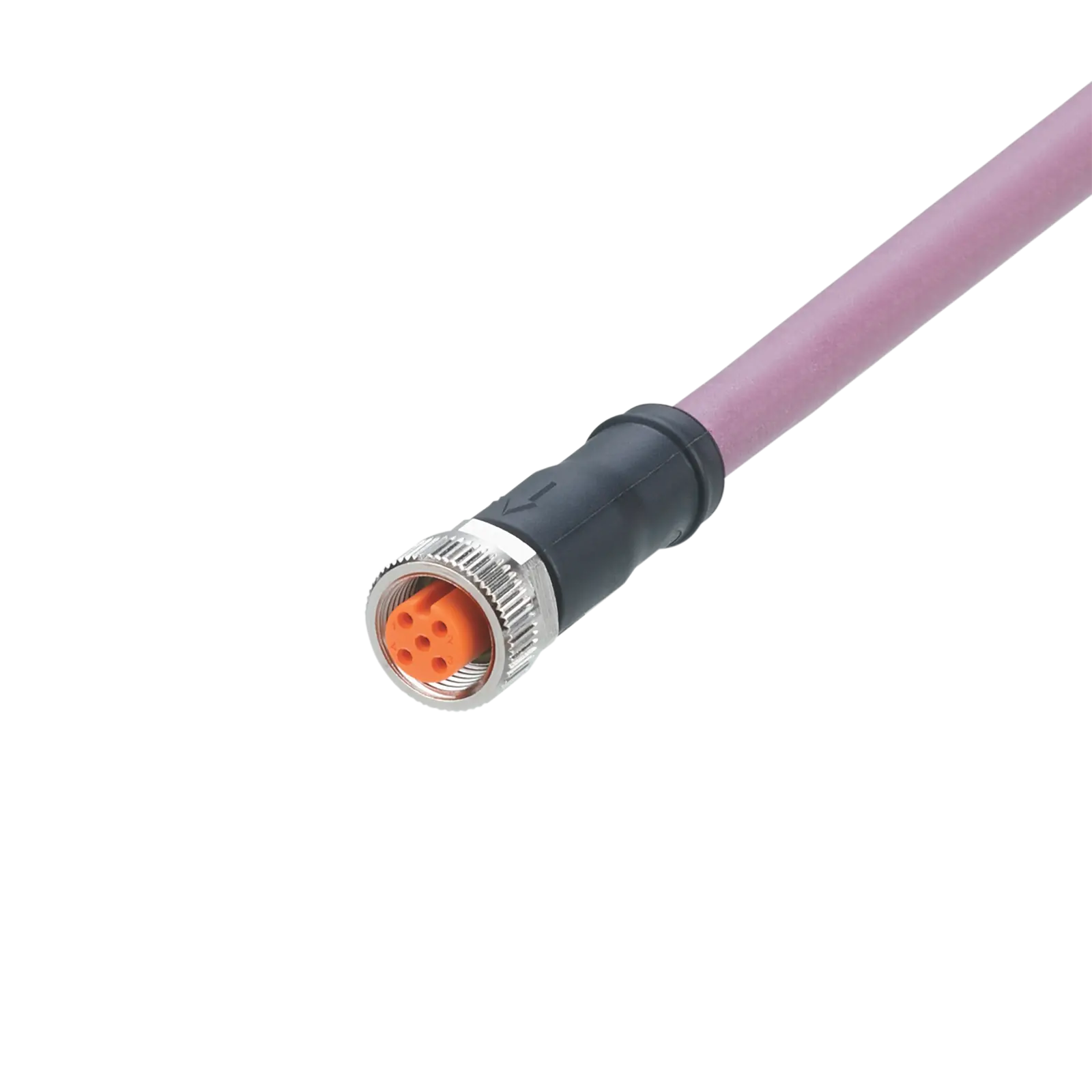Produktfoto 1 von Anschlusskabel m.Buchse <30VAC 2m PUR IP67-69K hfr