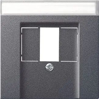 Produktfoto 1 von Abdeckung BSF TAE+Stereo+USB System 55 anthrazit