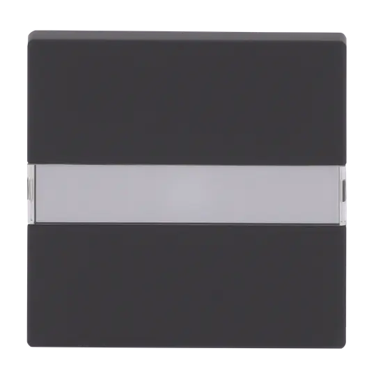 Produktfoto 1 von Abdeckung mit Beschriftungsfeld und Lichtleiter UP schwarz matt