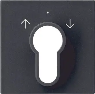 Produktfoto 1 von Abd. Schlüsselschalter/-taster System 55 Schwarz m