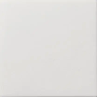 Produktfoto 1 von Blindabdeckung m.Tragring Flächenschalter reinweiß
