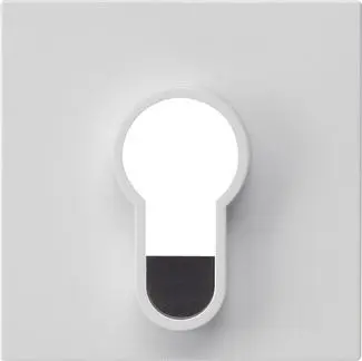 Produktfoto 1 von Abd.Schlüsselschalter/-taster o.Aufdruck System 55 Reinweiß