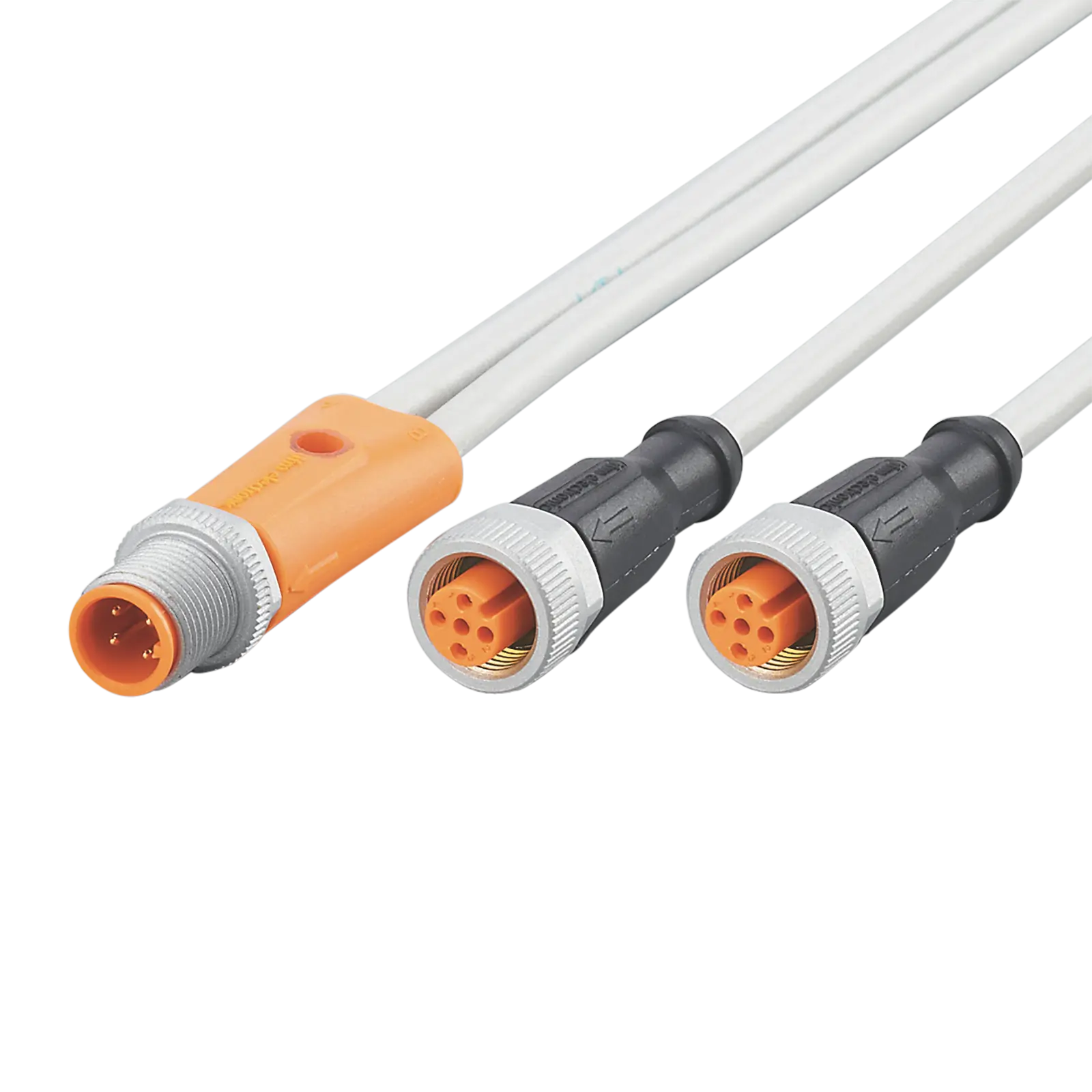 Produktfoto 1 von Y-Verbindungskabel 2 PNP 0,3m PUR IP65/67-69K