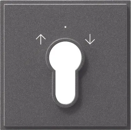 Produktfoto 1 von Abdeckung Schlüsselschalter TX44 WG UP anthrazit