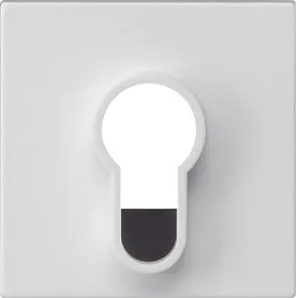 Produktfoto 1 von Abd.Schlüsselschalter/-taster o.Aufdruck System 55 Reinweiß m