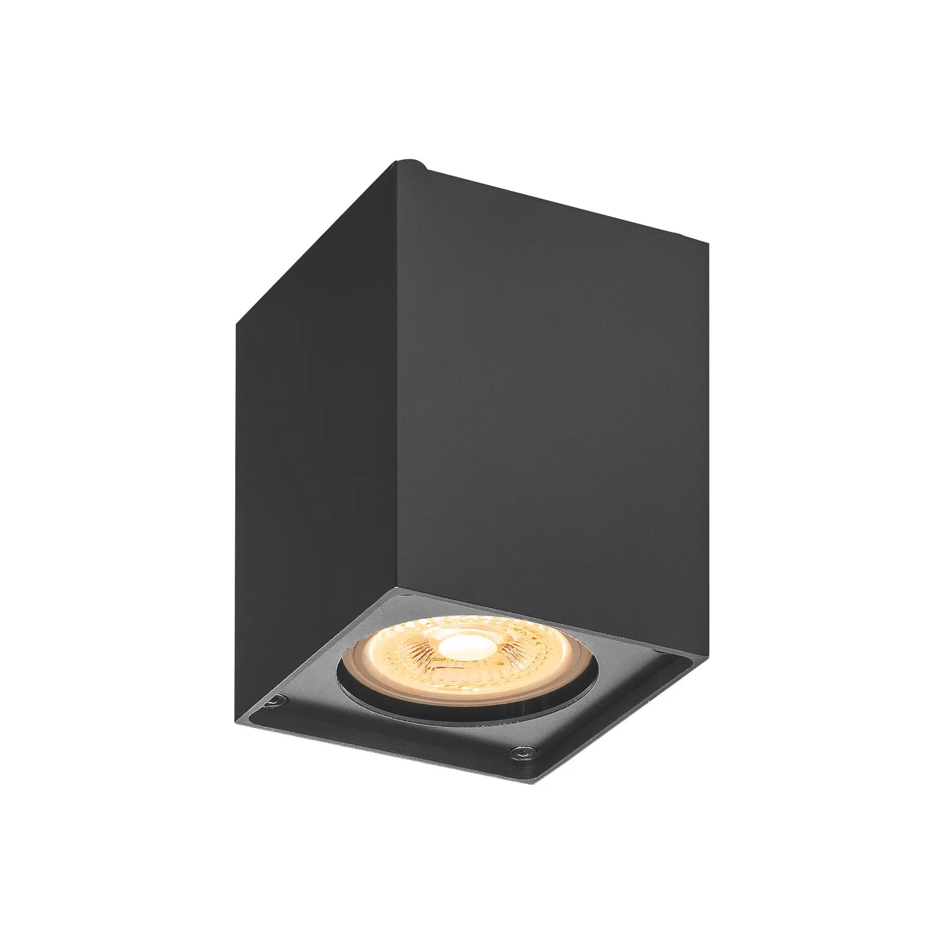 Produktfoto 1 von ALTRA DICE CL Indoor Wand- u.Deckenaufbauleuchte QPAR51 schwarz