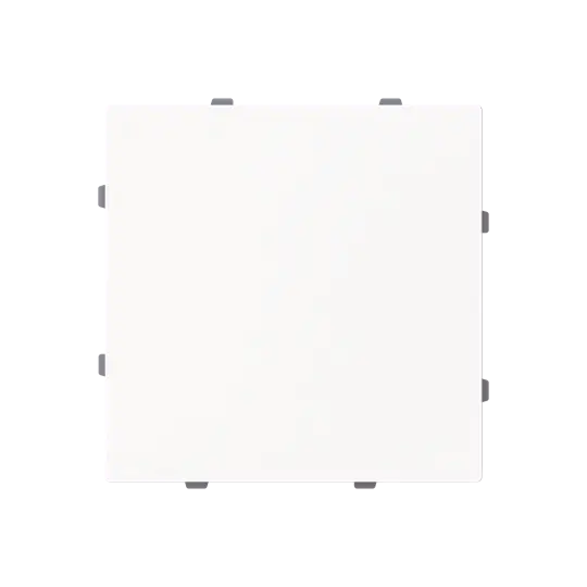 Produktfoto 1 von Blindzentralscheibe mit Tragring