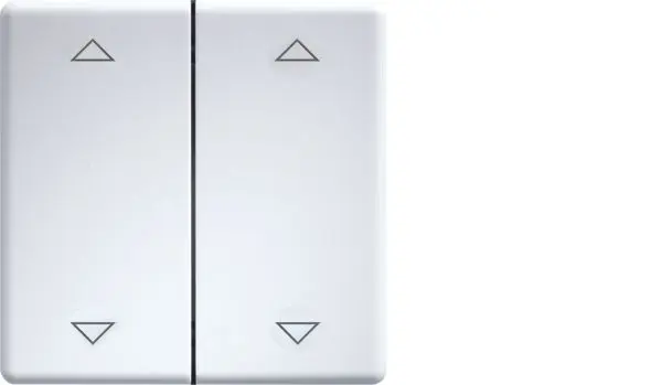 Produktfoto 1 von Doppelwippen lasergraviert Taster u.Schalter 55er Design /E-d.55 rws