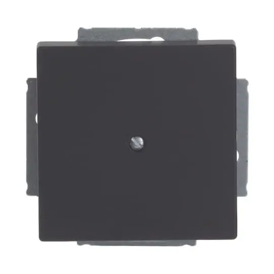Produktfoto 1 von Blindzentralscheibe UP schwarz matt