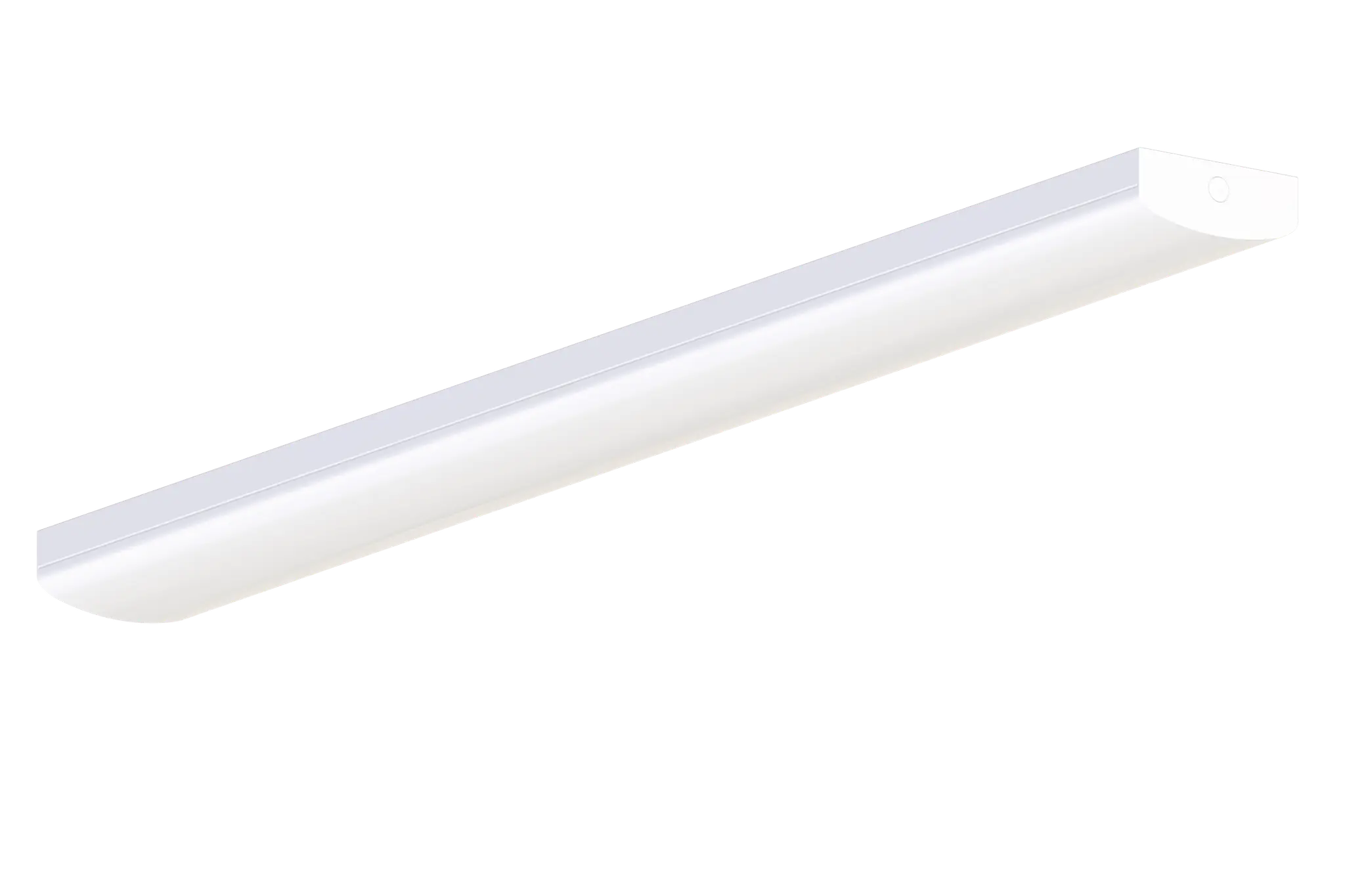 Produktfoto 1 von Linear Basic