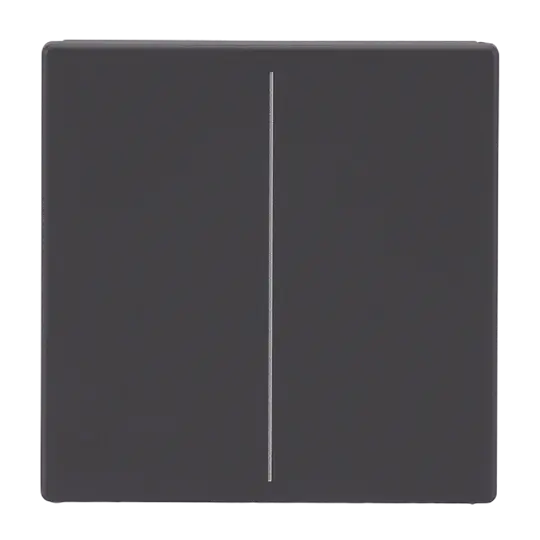Produktfoto 1 von Abdeckung, 2-fach für Keypad