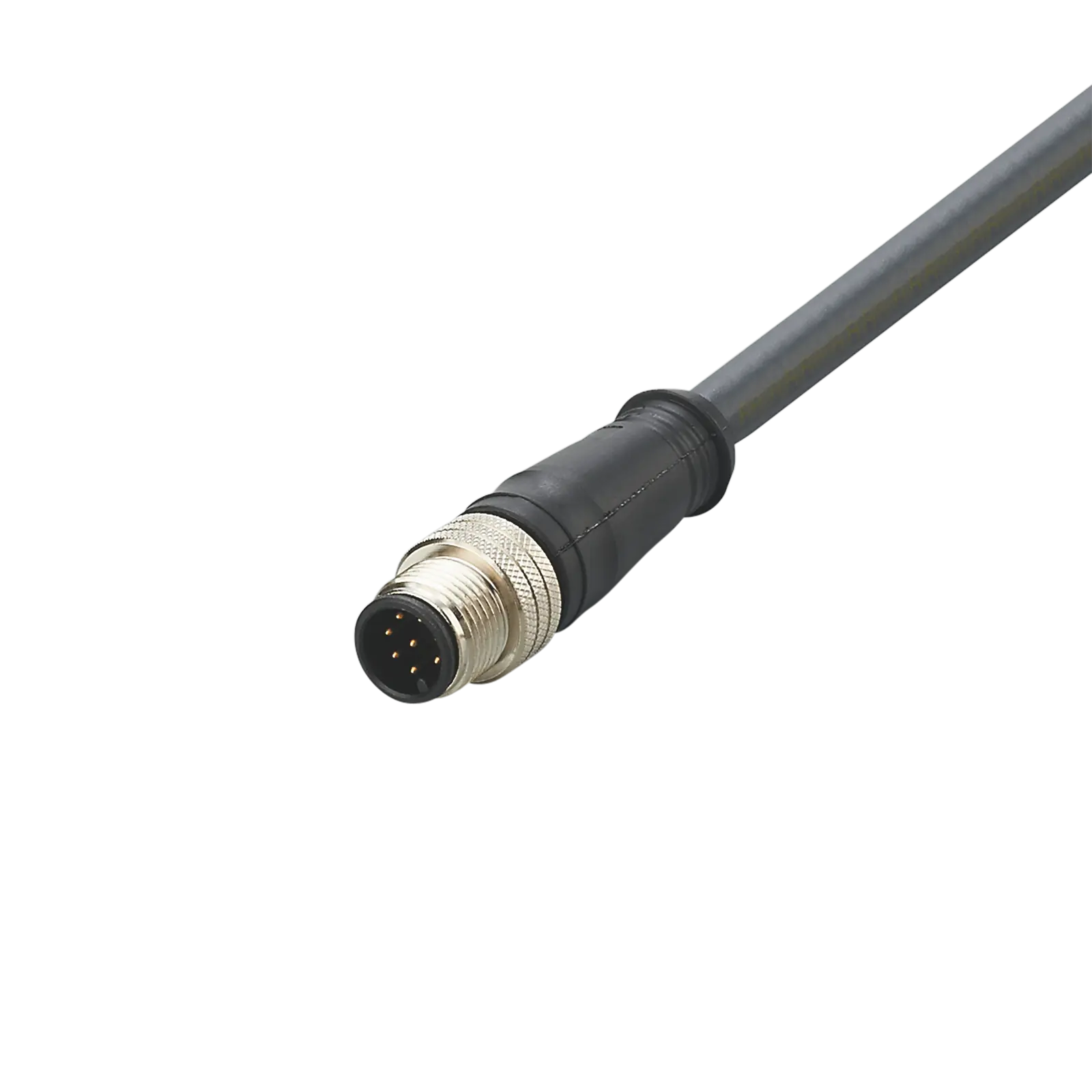 Produktfoto 1 von Anschlusskabel m.Stecker <30VAC 2m PUR Geh. PUR IP67