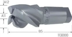 A300401 System-Zapfensenker HSS Größe 4/GZ4 30,00 mm BILZ