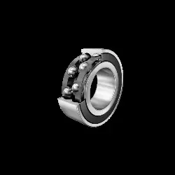 0008756600000 INA Schrägkugellager 3008-2Z