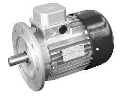 43006400 Drehstrom-Normmotor Typ SM/I, mit Käfigläufer