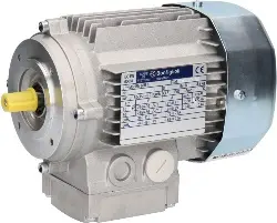 Produktfoto 1 von 830820156 BN 80A 4 230/400-50 IP55 CLF B14 Motor