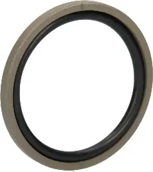 Produktfoto 1 von 67076699 Kolbendichtung PTFE mit O-Ring NBR 70 Shore