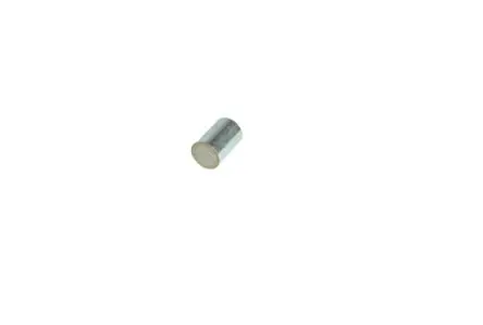 Eclipse Magnet Zylindrisch, Ø 10 mm x 20 mm, Zugkraft 0.8 kg