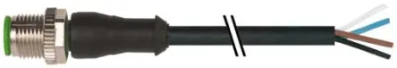 Murrelektronik Limited, 4-polig Verbindungskabel, Gerade Stecker, Länge 5 m