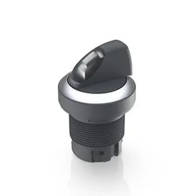 Produktfoto 1 von RAFI RAFIX 22 QR Wahlschalter 2-Stufen Wahlschalter 22.3 mm Beleuchtet IP65