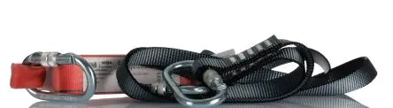 Produktfoto 1 von Protecta Karabiner Schraubbefestigung Fallschutz Stoßdämpfendes Trageband Zweifach, Gew.Bel. 100 kg, 1.5 m