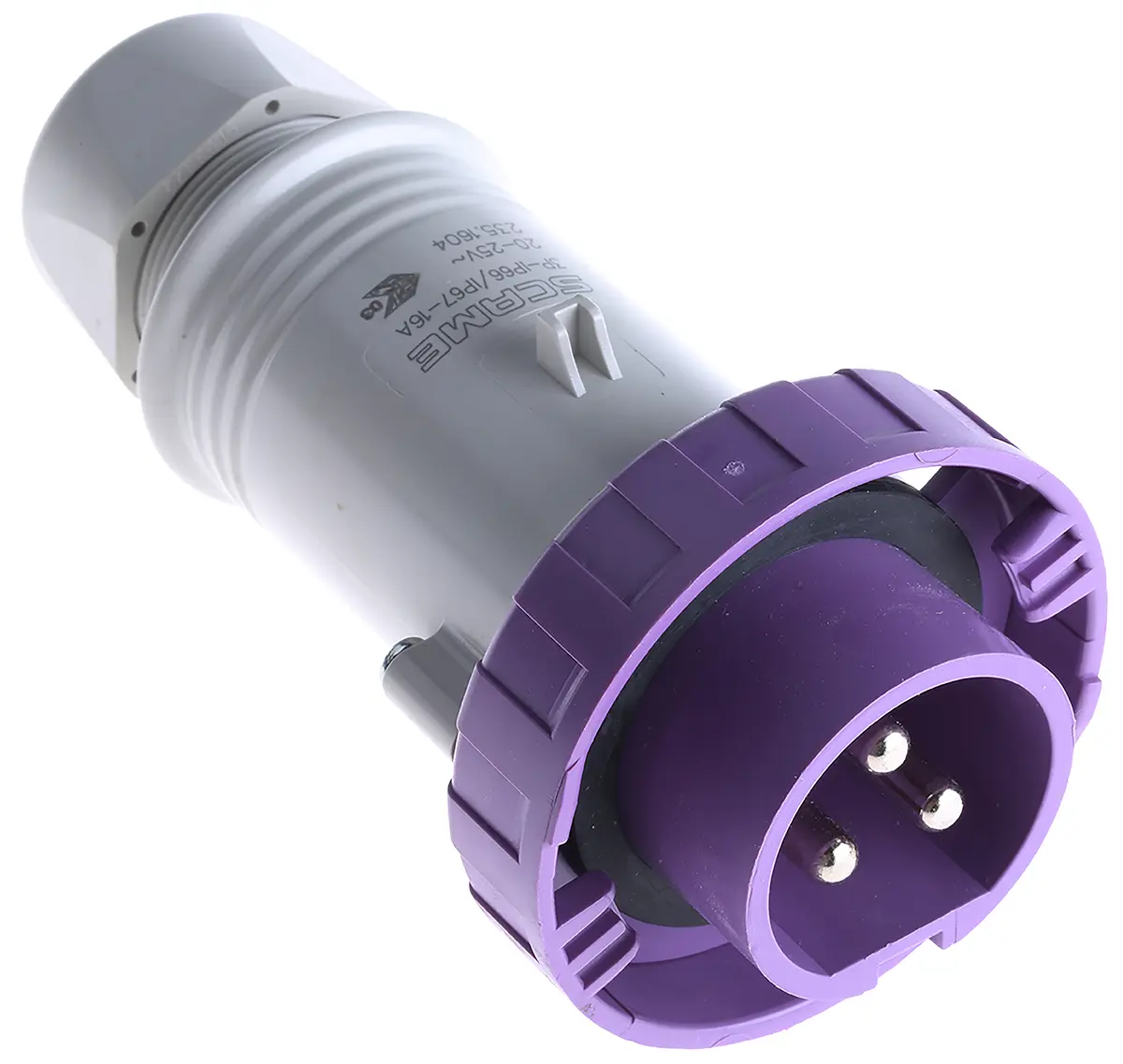 Scame IEC309 Leistungssteckverbinder Violett 3P, 20V, 25 V, Kabel Gerade IP67 16A