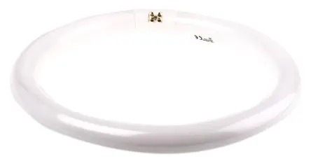 Produktfoto 1 von Sylvania Ringförmige Leuchtstoffröhre, 32 W, 2400 lm, 299 mm, 4000k, Kaltweiß, G10Q