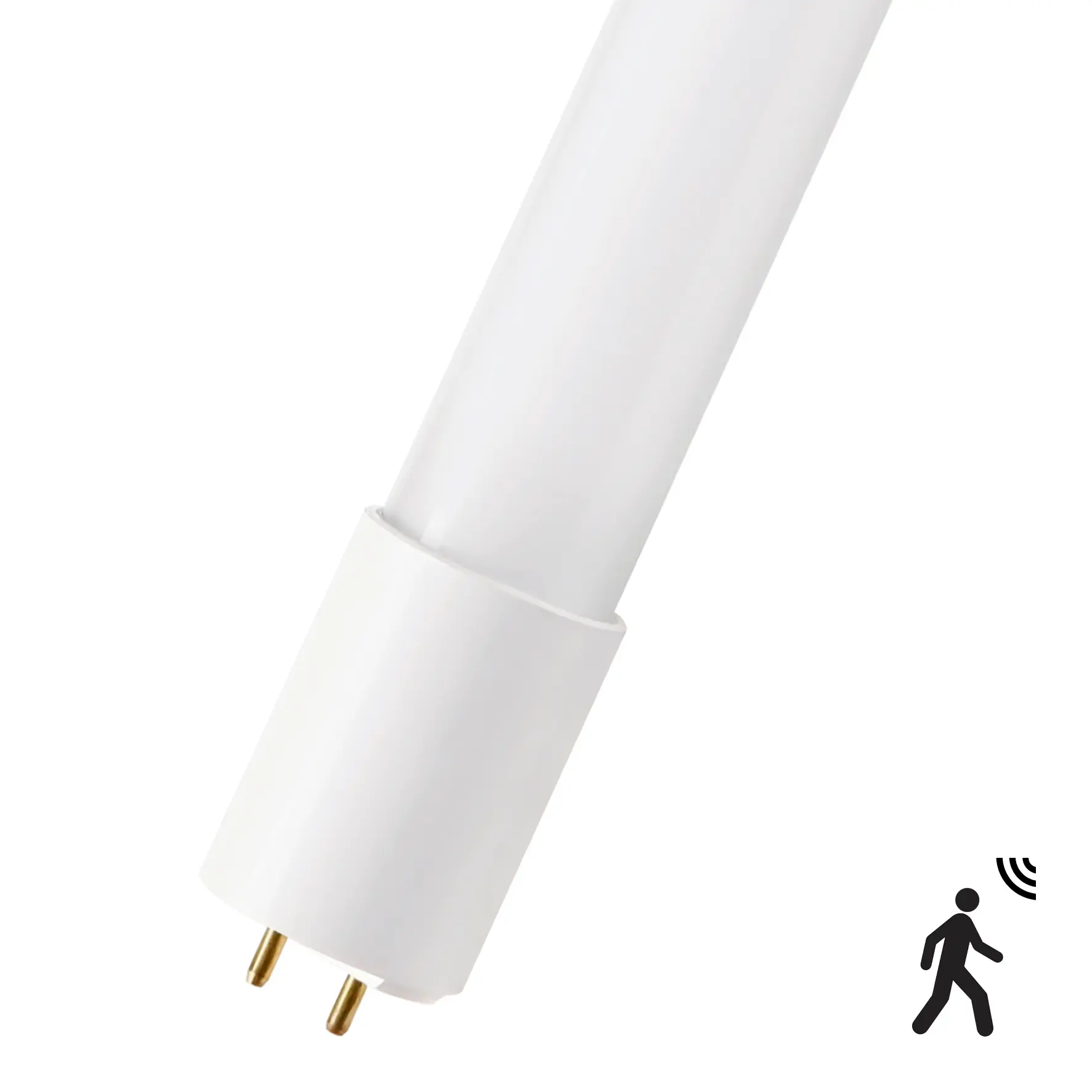 Produktfoto 1 von Bailey Electric & Electronics bv Glühlampe