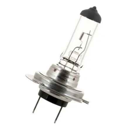 Produktfoto 1 von Bailey Electric & Electronics bv Kontrollleuchte 12V Klar / 55 W, PX26d Sockel Ø 12 mm 330 h
