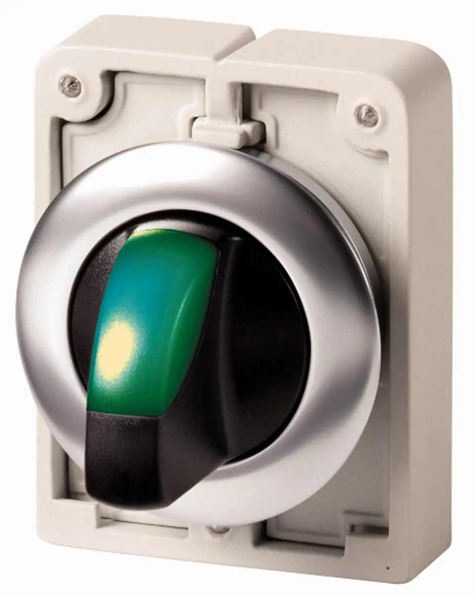Produktfoto 1 von Eaton RMQ Titan Wählschalterkopf Beleuchtet Grün 2-Positionen 30mm Rastend