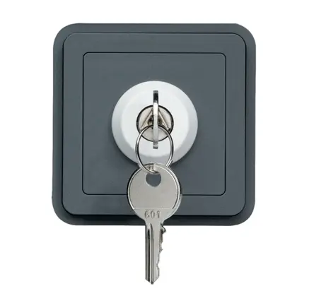 Produktfoto 1 von Hager cubyko Schlüsselschalter IP55